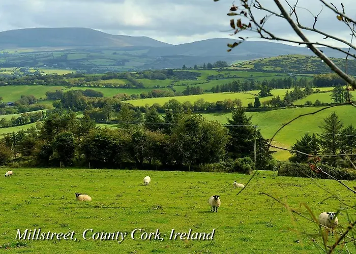 Wallis Arms Sráid an Mhuilinn